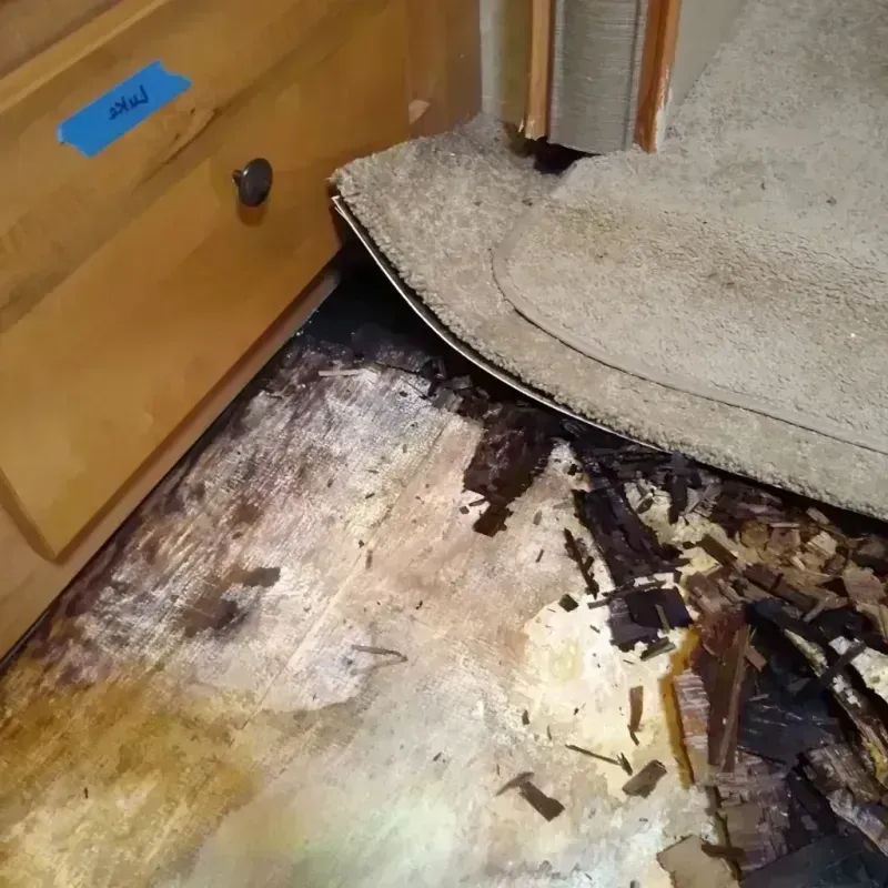 Wood Floor Water Damage in Utica, MI